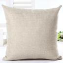 A Holy Night Christmas Holiday Accent Throw Pillow Home Decor