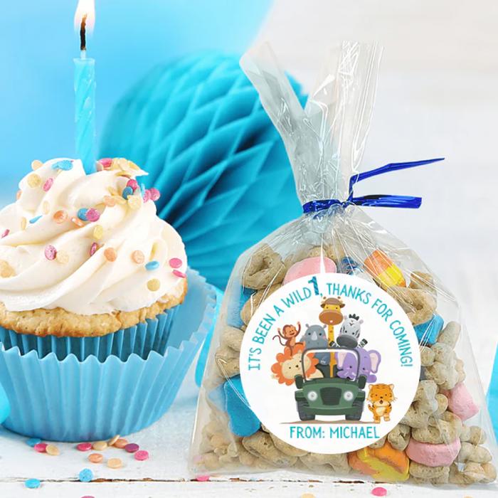Personalized Boys Birthday Party Stickers & Treat Bags