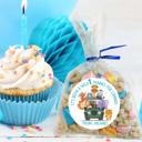  Personalized Boys Birthday Party Stickers & Treat Bags
