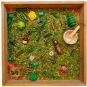  Forest Sensory Bin Play