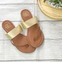  Golden Slides