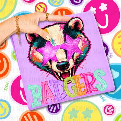 Youth Badgers Spiritwear Tee