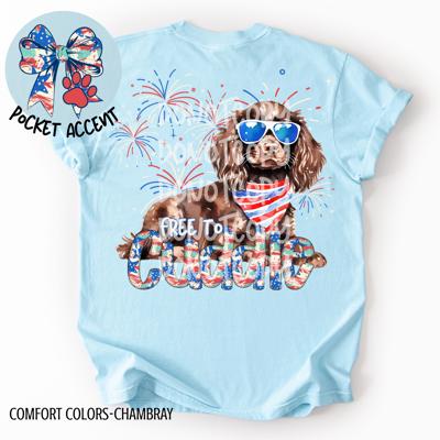 Boykin Spaniel Free to Cuddle T-Shirt