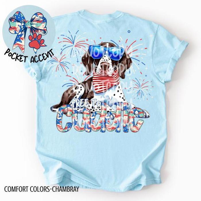 Americana Free to Cuddle Graphic Tee