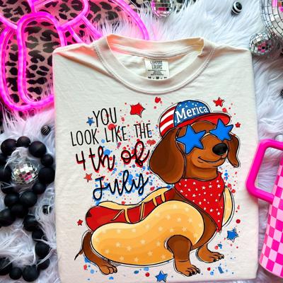 Dachshund 4th of July Tee