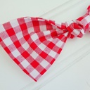  Hair Bow - Red Gingham