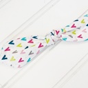  Hair Bow Clip - Bright Teepees
