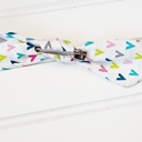  Hair Bow Clip - Bright Teepees