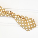  Hair Bow Clip - Dots on Brown