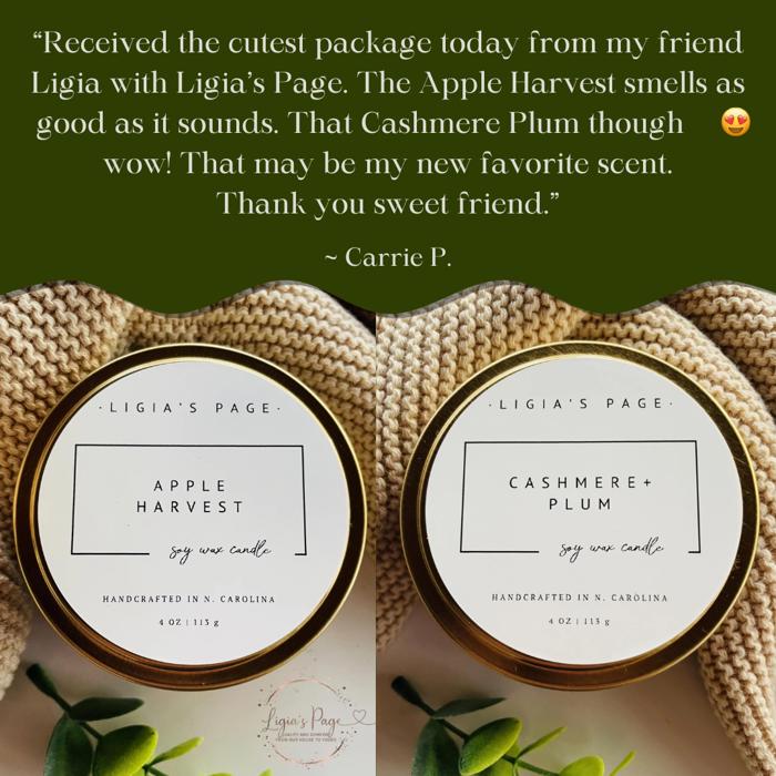 Handmade Luxury Soy Candle | Frosted Juniper Scent 4 oz  