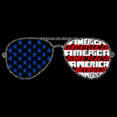 Americana Sunglasses - Men's Word Art Hooded Sweatshirt