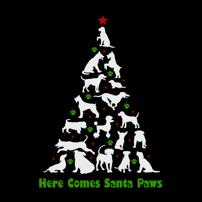 Here Comes Santa Paws - Women's Word Art V-Neck T-Shirt