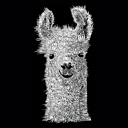  Women's Word Art V-Neck T-Shirt - Llama