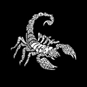 Mens Word Art T-shirt - Types of Scorpions