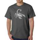 Gray Large Mens Word Art T-shirt - Types of Scorpions