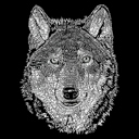  Mens Word Art T-shirt - Wolf