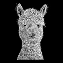  Women's Word Art T-Shirt - Alpaca