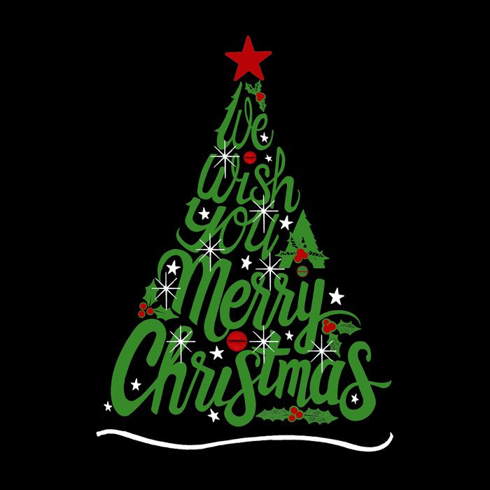 We Wish You A Merry Christmas - Women's Word Art Hooded Sweatshirt