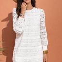  Ivory Lace Garden Mini Dress