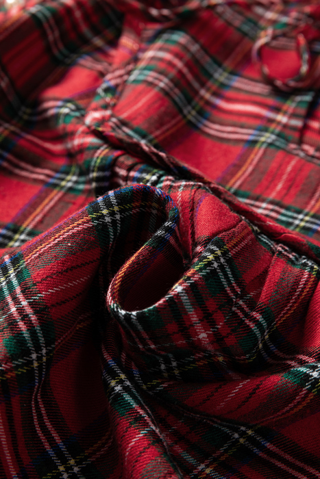 Festive Pearl Tartan Blouse
