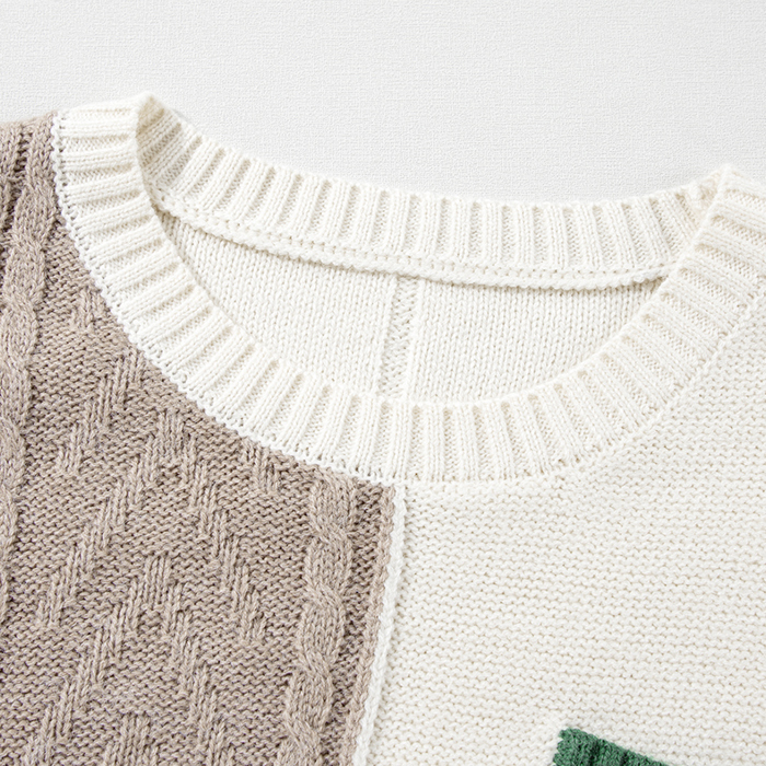 Sage Trail Colorblock Sweater