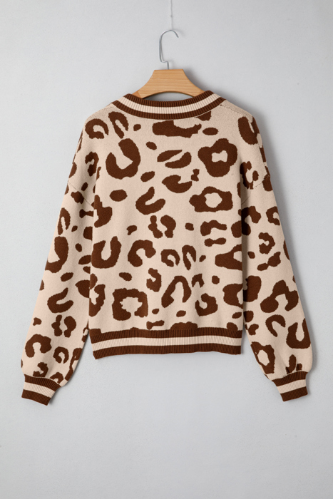 Wild Charm V-Neck Knit Sweater