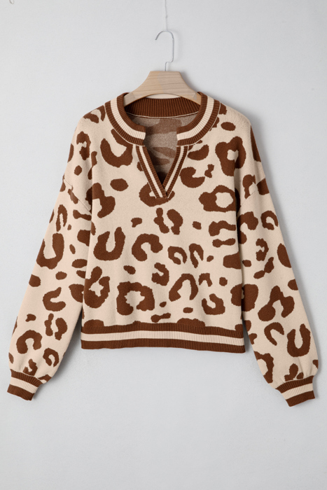 Wild Charm V-Neck Knit Sweater