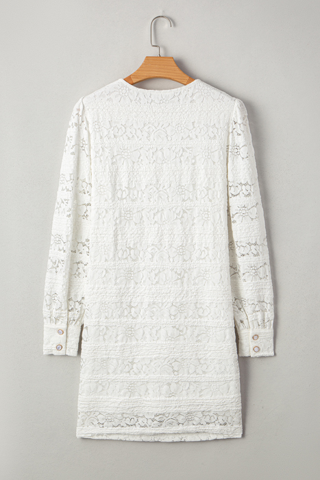 Ivory Lace Garden Mini Dress