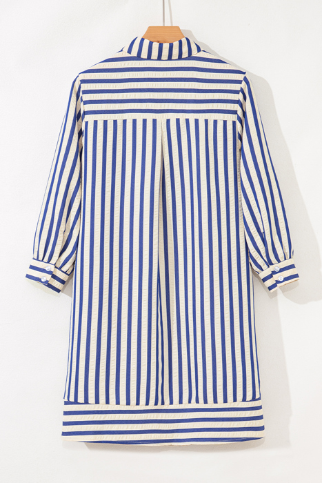 Harbor Stripe Shirt Dress