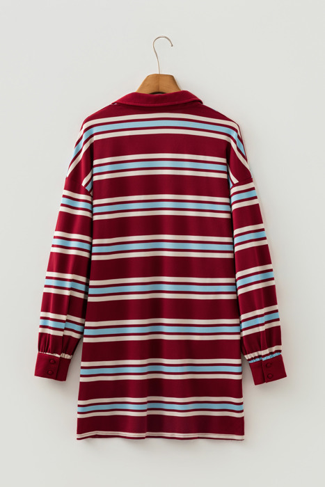 Varsity Spirit Stripe Polo Dress