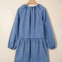  Blue Ridge Daydream Denim Dress