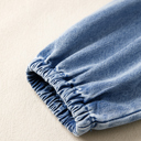  Blue Ridge Daydream Denim Dress