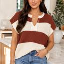 Brown Small Canyon Stripe V-Neck Sweater