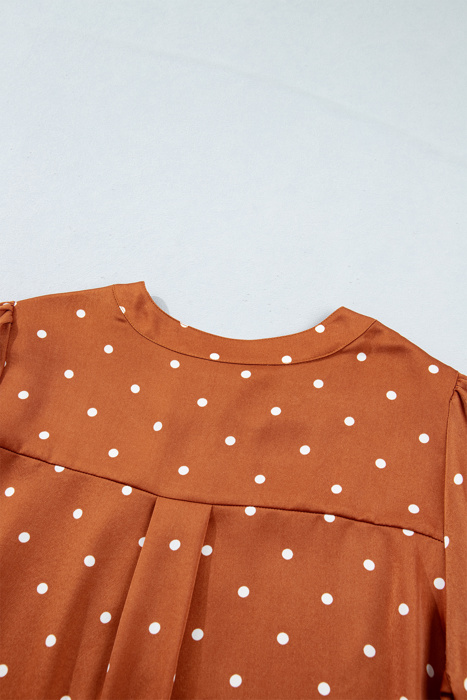 Cocoa Dot V-Neck Blouse