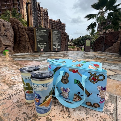 Parks, Beach, Sports, Vacation, Pool & Cruise Bags!