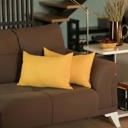 Yellow 12X20" Honey Set of 2 Decorative Throw Pillow Cover Solid Color Lumbar & Square Pillowcase for Couch, Bedding