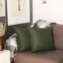 Fern Green 16X16" Honey Set of 2 Decorative Throw Pillow Cover Solid Color Lumbar & Square Pillowcase for Couch, Bedding