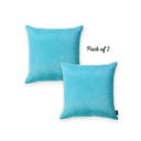 Sky Blue 22X22" Honey Set of 2 Decorative Throw Pillow Cover Solid Color Lumbar & Square Pillowcase for Couch, Bedding