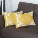  Decorative Geometric Set of 2 Throw Pillow Cover for Couch, Bedding