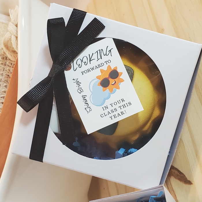 Back to School Teacher Themed Gift Set's l Bath bomb and Lip Balm l Thoughtful Gift l Teacher Gift l Back to School