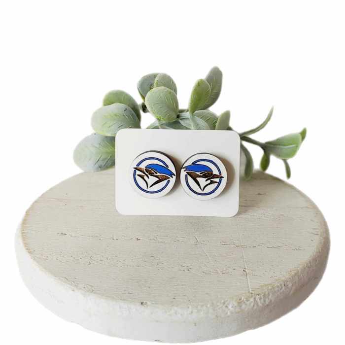 Team Mascot Studs | 25 Styles
