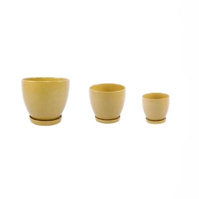 Set of 3 Hiero Planters w/ Saucer 
