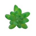  Artificial Small Little Gem with Stem