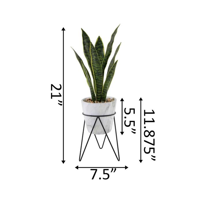 21" Snake Plant in Marble Planter
