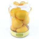  Artificial 8 PCs Lemons