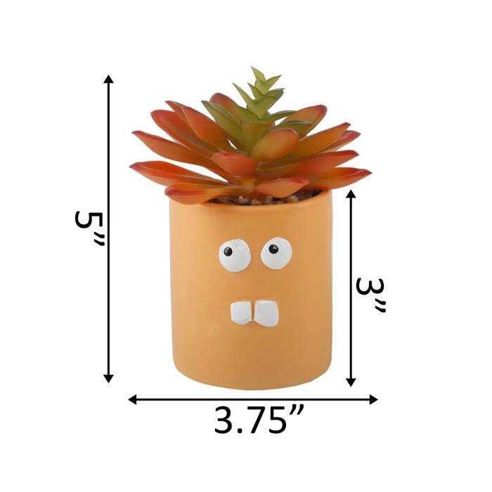 Crazy Eyes Planter with Succulent