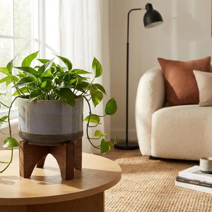 7" Lava Ceramic Planter with Wood Stand