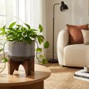  7" Lava Ceramic Planter with Wood Stand