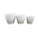  Set of 3 Ivory 10",8“,6.75” Jungle Flowers Ceramic Pots on Saucer 