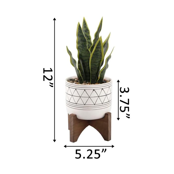Snake Plant in Black Geo Planter
